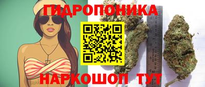 альфа пвп Славянск-на-Кубани